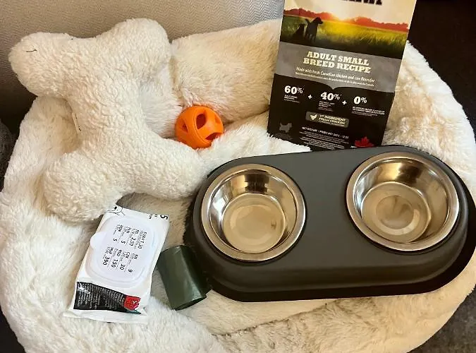 Adorable, Cosy At The Heroes' Square *